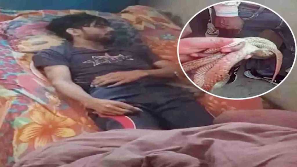 “வேலைக்கு சென்று விட்டு களைப்பாக தூங்கிய வாலிபர்”… மறுநாள் எழவே இல்லை… படுக்கையில்… மொத்தம் 10 கடி… இப்படி ஒரு சாவு யாருக்கும் வரக்கூடாது..!!!