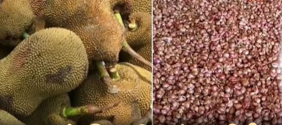 Breaking: “இந்தியாவிலேயே தமிழ்நாடு தான் டாப்பு”… மேலும் 6 பொருட்களுக்கு புவிசார் குறியீடு… என்னென்ன உடனே பாருங்க..!!