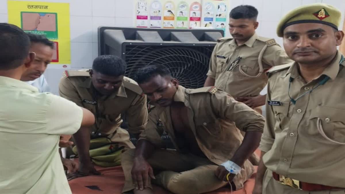 “திக் திக் காட்டுக்குள் பயிற்சி வந்த வன அதிகாரிகள்”… திடீரென தாக்கிய தேனீக்கள்..!! 16 பேர் காயம், நால்வர் கவலைக்கிடம்..! அதிர்ச்சி சம்பவம்..!