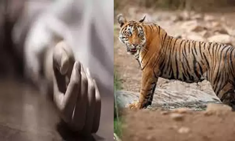 “அதிகாலையில் விவசாய நிலத்திற்கு சென்ற நபர்”… திடீரென கேட்ட அலறல்… ஓடிவந்த மக்கள்… துடி துடித்து பலியான சோகம்…!!!