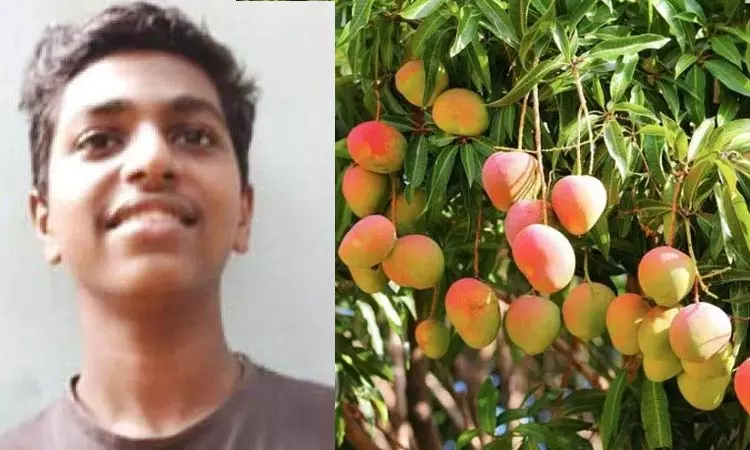 அடக்கடவுளே…! மாம்பழம் சாப்பிட ஆசைப்பட்டு மரத்தின் மீது எறிய 16 வயது மாணவன்… சட்டென நேர்ந்த விபரீதம்.. உயிரே போயிடுச்சே…!!!