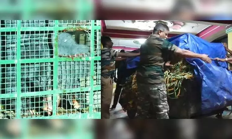 “அச்சுறுத்தி வந்த கரடி”… பீதியில் வீட்டுக்குள்ள முடங்கிய மக்கள்… கூண்டு வைத்து வெற்றிகரமாக பிடித்த வனத்துறையினர்..‌!!