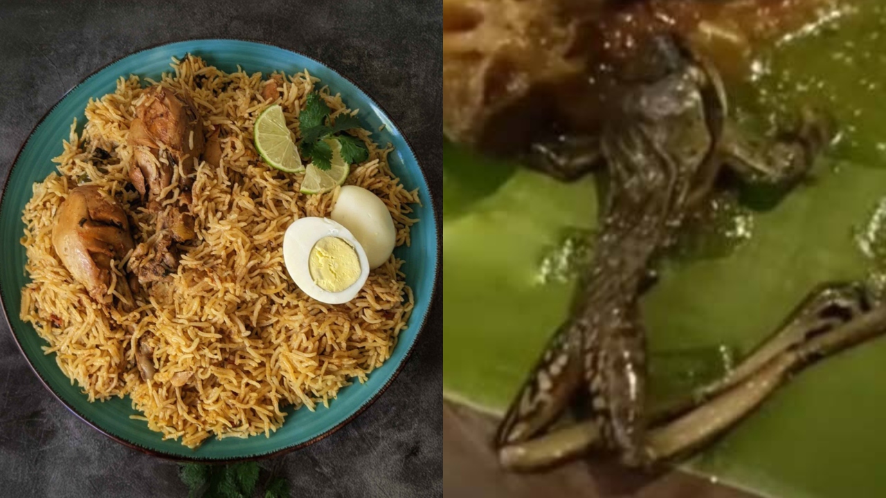 “மட்டன் குழம்பில் தவளை”… ஷாக்கான குடும்பத்தினர்… அலட்சியமாக பதில் சொன்ன ஊழியர்கள்… அதிர்ச்சி சம்பவம்…!!