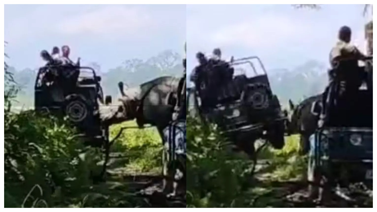 “ஐயோ ஓடுங்க…” சவாரி ஜிப்பை கவிழ்க்க முயன்ற காண்டாமிருகம்… நூலிலையில் உயிர் தப்பிய சுற்றுலா பயணிகள்… அதிர்ச்சி சம்பவம்…!!