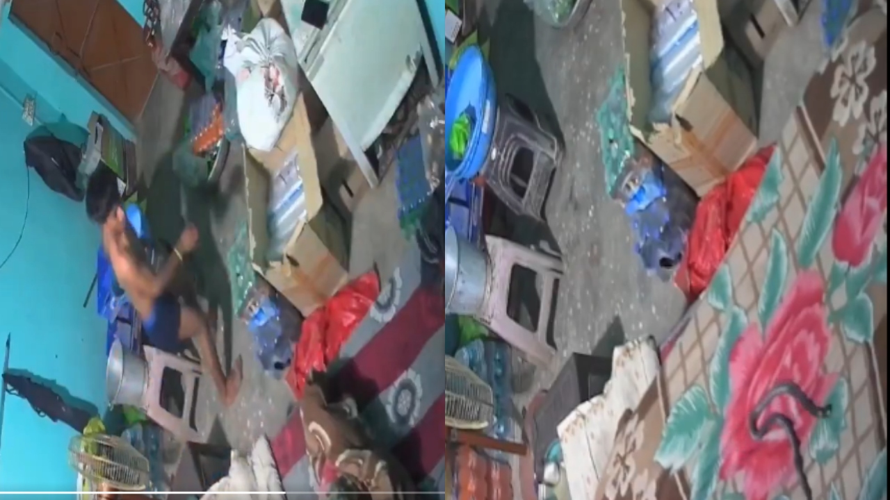 “திக் திக்…” விடாமல் கொத்திய பாம்பு…. திடுக்கிட்டு எழுந்த சிறுவன்…. கடைசியில் நடந்த சோகம்…. வைரலாகும் வீடியோ….!!