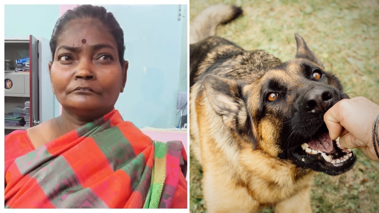“விளையாடிய 5 வயது சிறுமி…” நாயை ஏவி கடிக்க விட்ட பெண்…. பதறிய பெற்றோர்…. பரபரப்பு சம்பவம்….!!