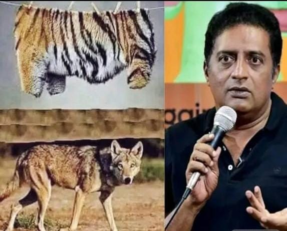 “புலித்தோலும், நரியும்”… மக்கள் மத்தியில் தனக்கான நல்ல பிம்பத்தை உருவாக்க எதையும் செய்வார்… நடிகர் பிரகாஷ்ராஜ் விமர்சனம்..!!