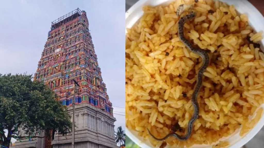 “பிரசித்தி பெற்ற கோவிலின் பிரசாதத்தில் கிடந்த பாம்பு”… அதிர்ச்சியில் உறைந்த பக்தர்கள்…!!!