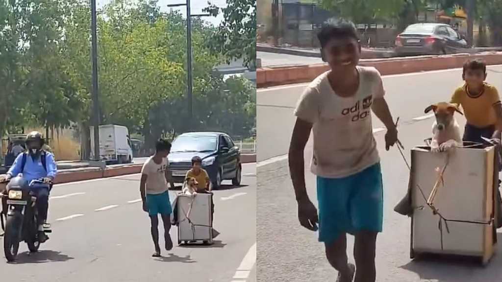 “கொளுத்தும் வெயிலிலும் நாயை மீட்க டிராலி உருவாக்கி நடுரோட்டில் சென்ற சிறுவர்கள்”… ஏழ்மையிலும் குறையாத மனிதநேயம்… நெகிழ்ச்சி வீடியோ..!!!