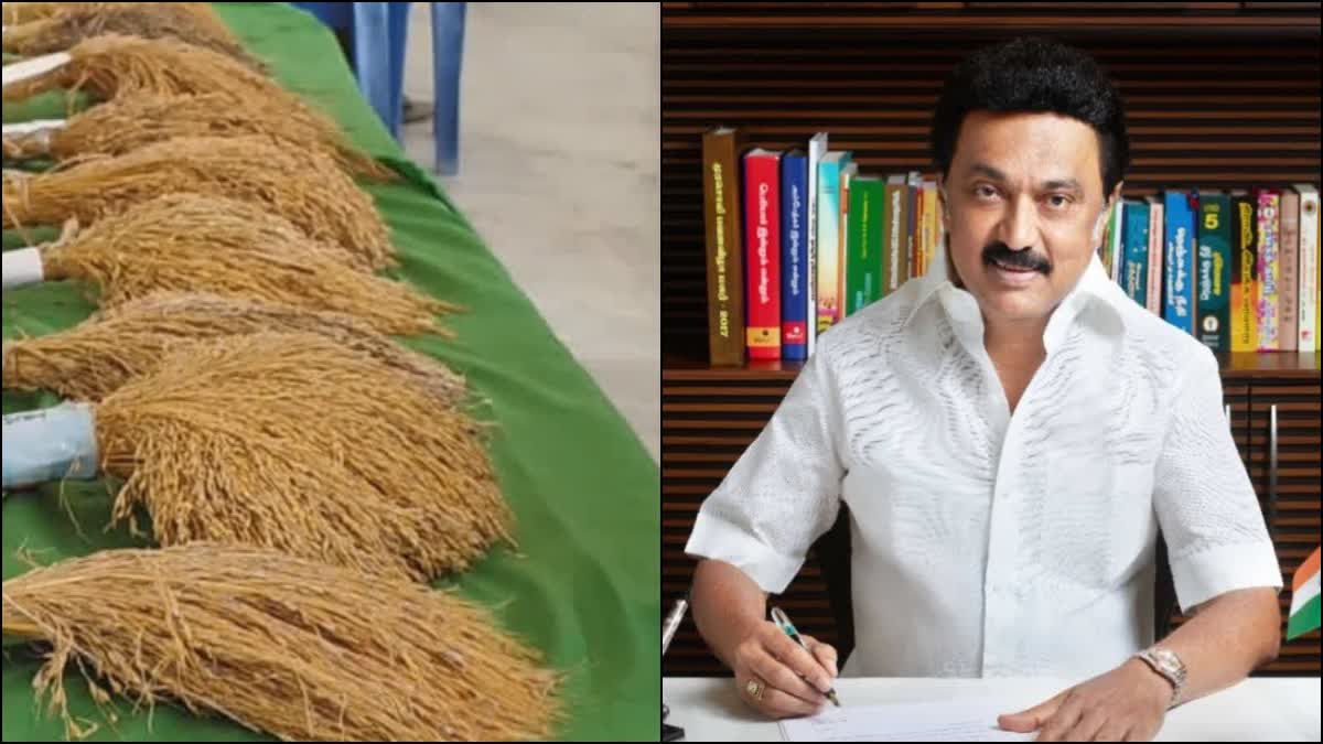 Breaking: தமிழகத்தில் நெல் கொள்முதல் விலை உயர்வு… இனி ஒரு குவிண்டாலுக்கு ரூ.2500 கிடைக்கும்… முதல்வர் ஸ்டாலின் அறிவிப்பு..!!