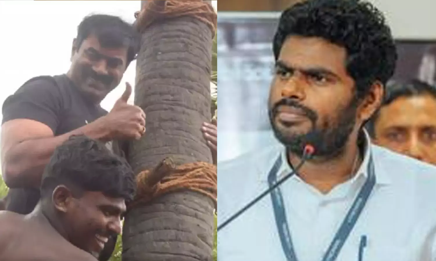 “பனை மரத்தில் ஏறி கள் இறக்கிய சீமான்”… எனக்கு சட்டத்தை மீறி இதை செய்வதில் விருப்பமில்லை… அண்ணாமலை அதிரடி.!!!
