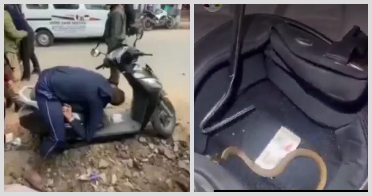 “ஸ்கூட்டியில் செல்லும்போதே சரிந்து விழுந்த நபர்”… ஹெல்மெட்டிலிருந்து உஷ் உஷ் சத்தம்… சீறிய பாம்பு.. தலையில் கடித்ததில்… திக் திக் வீடியோ…!!