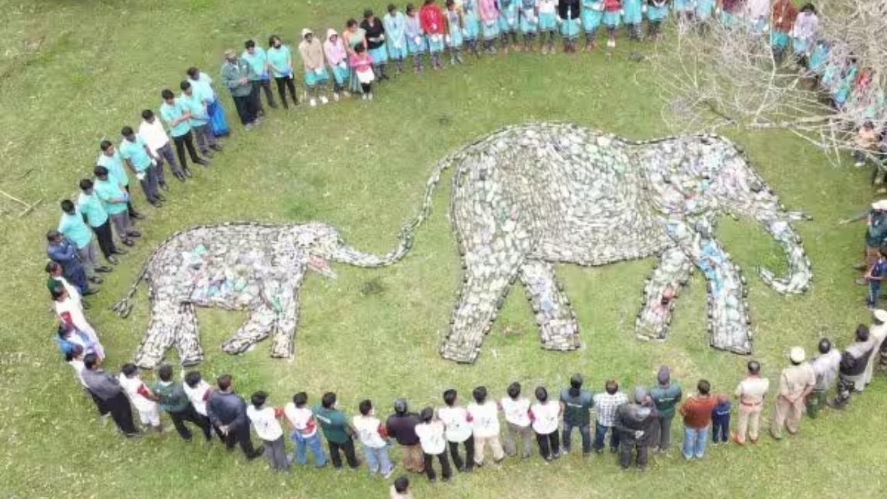 “பார்க்க யானை தான்… ஆனா உற்று பாருங்க என்னன்னு தெரியும்…” வனப்பகுதியில் கல்லூரி மாணவர்களின் முன்னெடுப்பு…. குவியும் பாராட்டுகள்….!!
