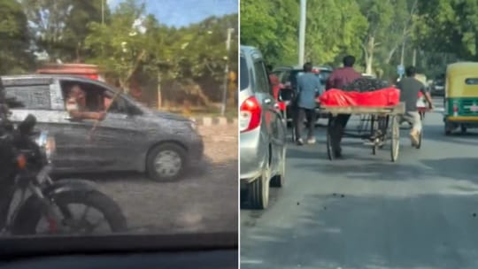 “50‌ ரூபாய் வேணுமா”..?  வியாபாரிகளை நடுரோட்டில் மாடுகள் போல காரில் இருந்தவாரே கம்பால் துரத்திய போலீஸ்காரர்… வைரலாகும் அதிர்ச்சி வீடியோ…!!!