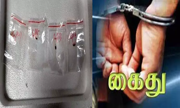 “பயிர்களை அழித்து பொருளாதார பாதிப்பை ஏற்படுத்தும் ஆபத்தான நோய்க்கிருமி”… அமெரிக்காவுக்கு கடத்திய சீன விஞ்ஞானிகள்… பரபரப்பு சம்பவம்..!!!