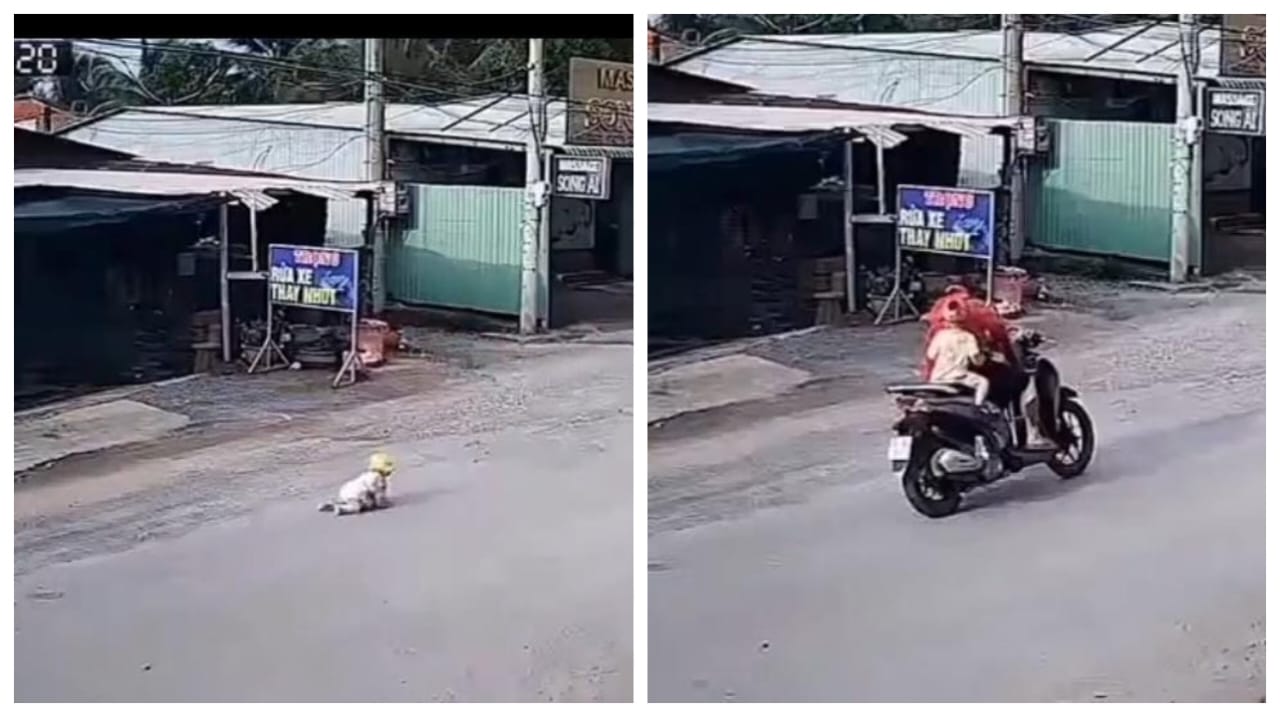 நடு ரோட்டில் பச்சிளம் குழந்தையை இறக்கிவிட்டு சென்ற தந்தை… அழுது கொண்டே தவழ்ந்து செல்லும் குழந்தை… மனதை உலுக்கும் வீடியோ…!!!