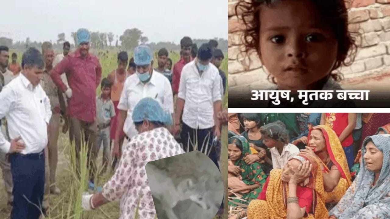 “தாயின் மடியில் தூங்கிய 2 வயசு குழந்தை”… திடீரென தூக்கி சென்ற விலங்கு.. 2 கைகள், கால் இல்லாமல் காட்டுப்பகுதியில் சிதைந்த நிலையில் கிடந்த சடலம்… பகீர்..!!!!