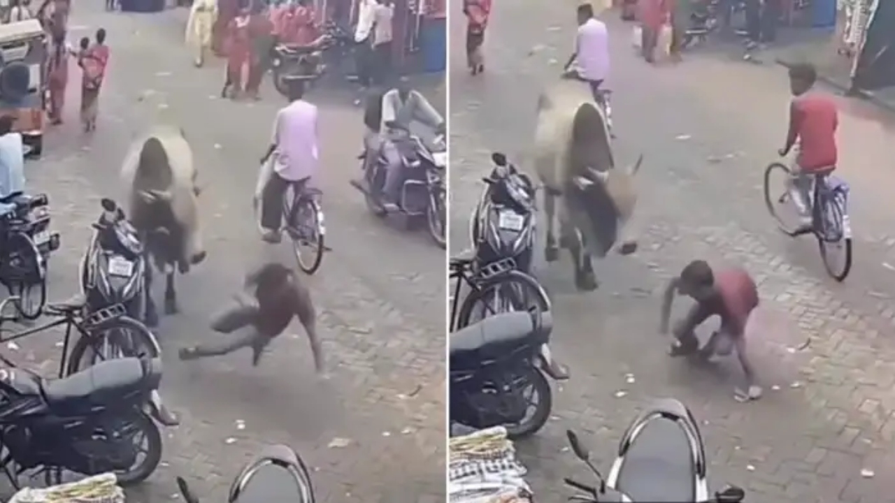 மரண பயத்தை காட்டிருச்சு…!  “செல்போனில் பேசிய வாலிபர்….” பின்னால் இருந்து முட்டி தூக்கி வீசிய காளை…. பதைப்பதைக்கும் வீடியோ…!!