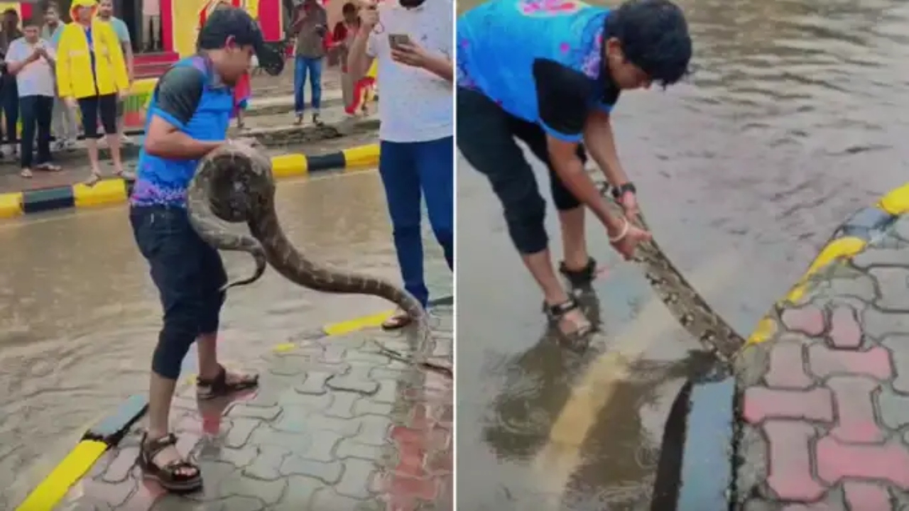 அம்மாடியோ…! பார்க்கவே பயமா இருக்கே…! சாக்கடை வடிகாலில் சிக்கி சீறிய ராட்சத மலைப்பாம்பு…. பீதியில் மக்கள்…. வைரலாகும் வீடியோ…!!