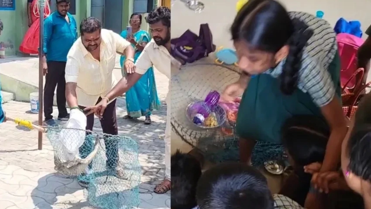“வகுப்பறைக்குள் புகுந்த உடும்பு….” அலறியடித்து ஓடிய மாணவர்கள்…. பரபரப்பு சம்பவம்….!!