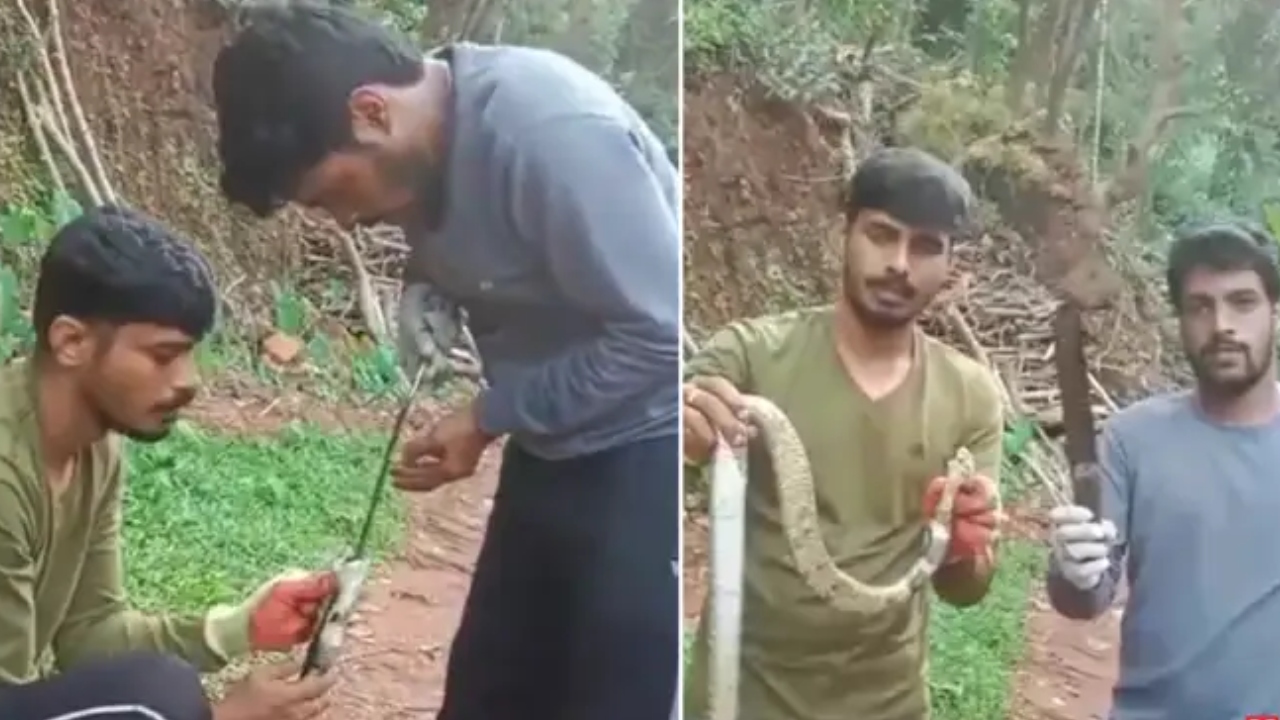 அம்மாடியோ…! பெரிய கத்தியை விழுங்கிய பாம்பு…. அறுவை சிகிச்சை மூலம் வெளியே எடுத்த டாக்டர்…. வைரலாகும் வீடியோ…!!