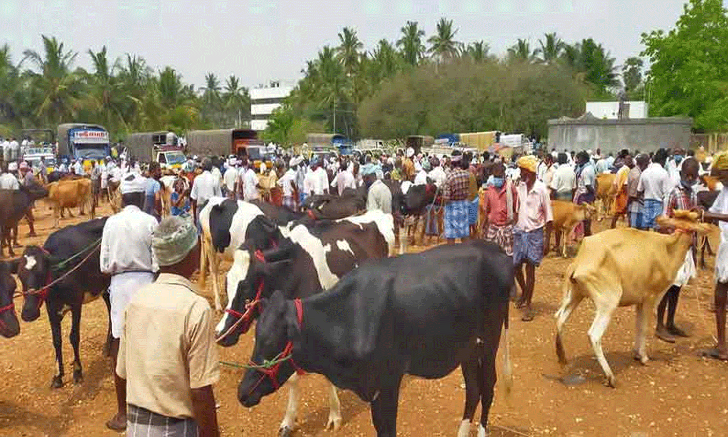 விவசாயிகளுக்கு குட் நியூஸ்….! கால்நடைகள் விற்பனை செய்ய புதிய இணையதளம்…. தமிழக அரசின் சூப்பர் அறிவிப்பு….!!