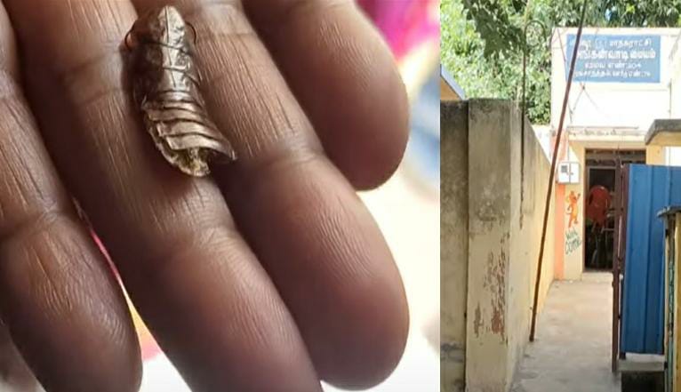 கொழுக்கட்டையில் கரப்பான் பூச்சி….! குழந்தைகளுக்கு இப்படியா கொடுப்பீங்க…? அங்கன்வாடி ஊழியர் மீது பாய்ந்த ஆக்ஷன்….!!