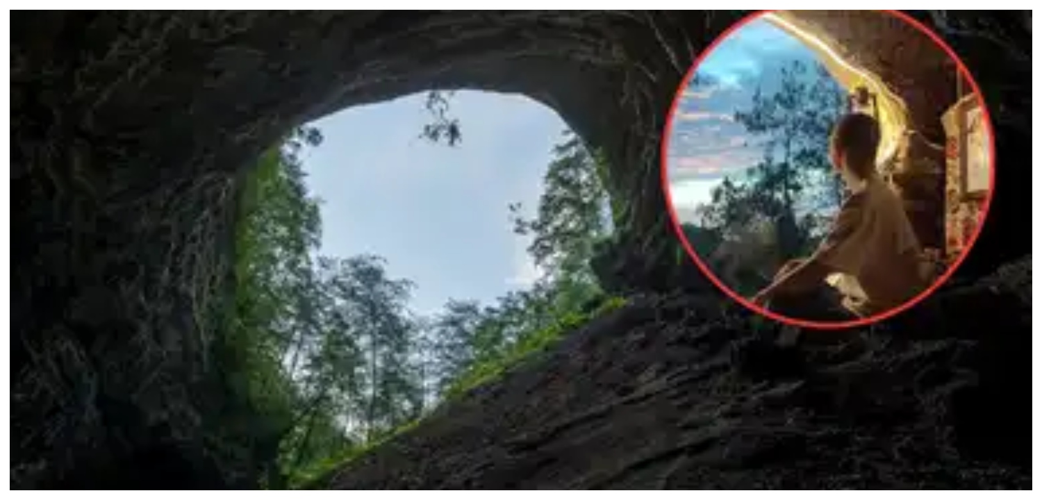 குகையில் தனியாக வாழும் 35 வயது நபர்…. திருமணம் செய்ய விருப்பமில்லை…  “உண்மையான அன்பு அரிது”… அதற்கு ஏன் கடினமாக உழைக்கணும்…!!!