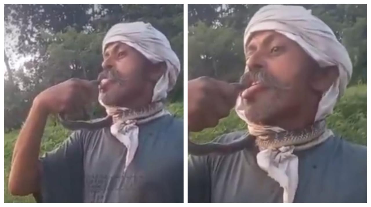 “உங்க லொள்ளுக்கு ஒரு அளவே இல்லையா”..? பயமில்லனு நிரூபிக்கிறாங்களாம்… பாம்புக்கு லிப் டூ லிப் கிஸ் கொடுத்து நபர்… கடைசியில்… பதற வைக்கும் வீடியோ.!!!!