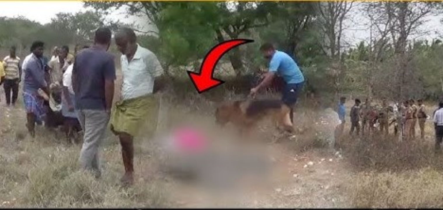 ஆடு மேய்க்க சென்ற தம்பதியினர் அடித்துக் கொலை… சடலத்தின் வாயிலிருந்த கொடிய விஷ மாத்திரை… அதிர வைக்கும் பின்னணி..!!