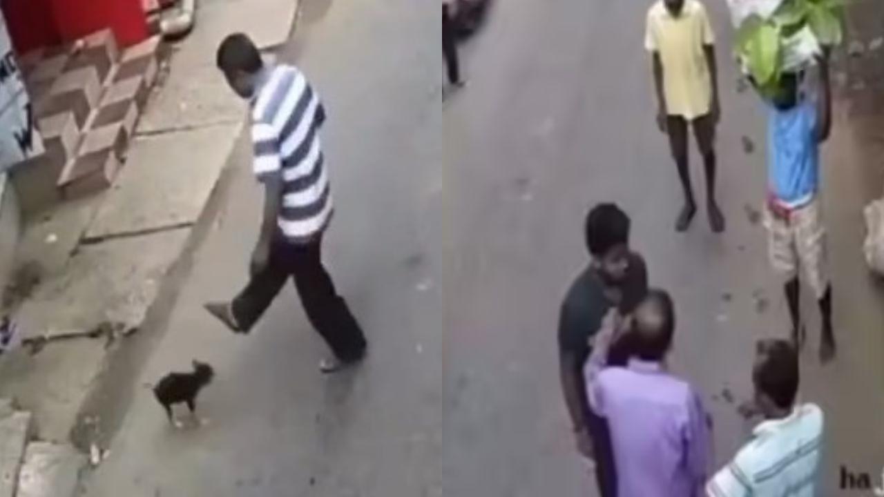 இப்படியும் மனுஷங்க இருக்காங்களா…? “குட்டி நாயை எட்டி உதைத்து, தூக்கி வீசி….” நடுரோட்டில் கொந்தளித்த வாலிபர்…. வைரலாகும் வீடியோ….!!