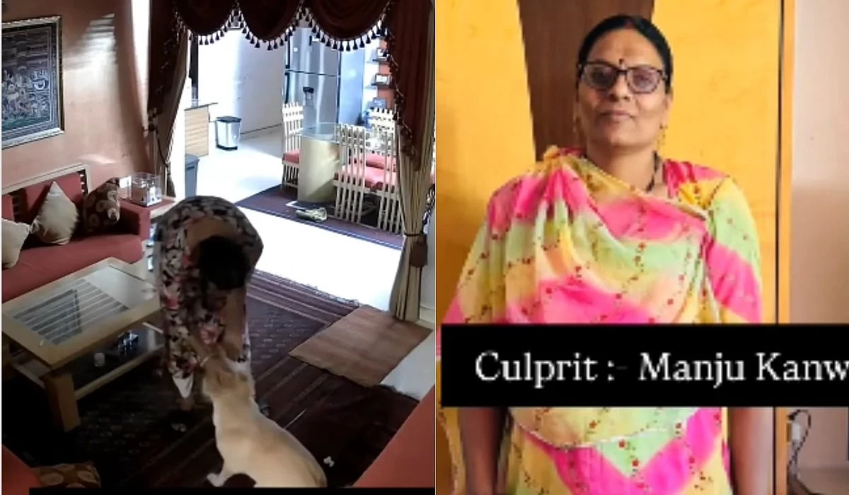 நாயை கொடூரமாக தாக்கும் வீட்டு உதவியாளர்… வெளியான சிசிடிவி காட்சிகளால் பரபரப்பு… விலங்கு ஆர்வலர்கள் கடும் கண்டனம்..!!