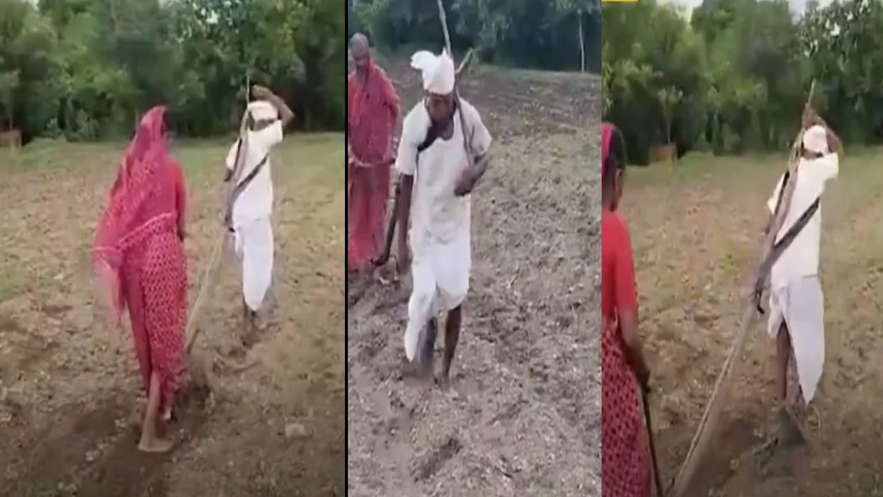 “மாடுகள் இல்லாததால் நாங்களே மாடுகள் ஆனோம்… 75-வயது விவசாயி, மனைவி உழவனாக நின்ற கண்ணீர் வீடியோ!”