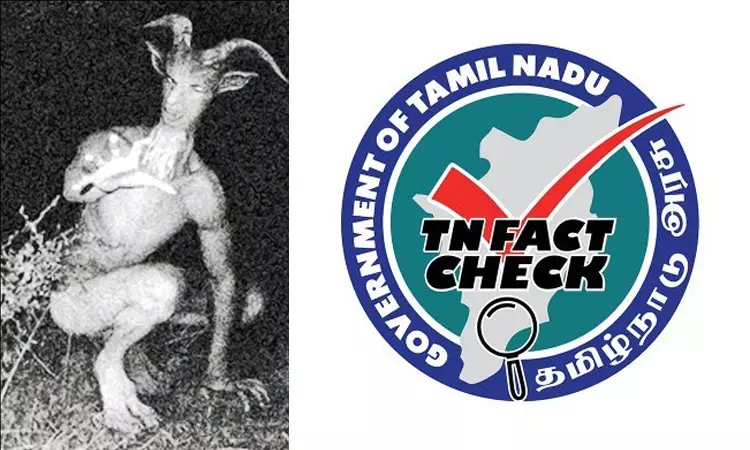 “ஏலியன் மாதிரி இருக்கு”… தி. மலையில் நடமாடும் அரியவகை ஆடு மனிதன்… அச்சத்தில் உறைந்த மக்கள்… தமிழ்நாடு அரசு சரிபார்ப்பகம் அதிரடி விளக்கம்…!!!