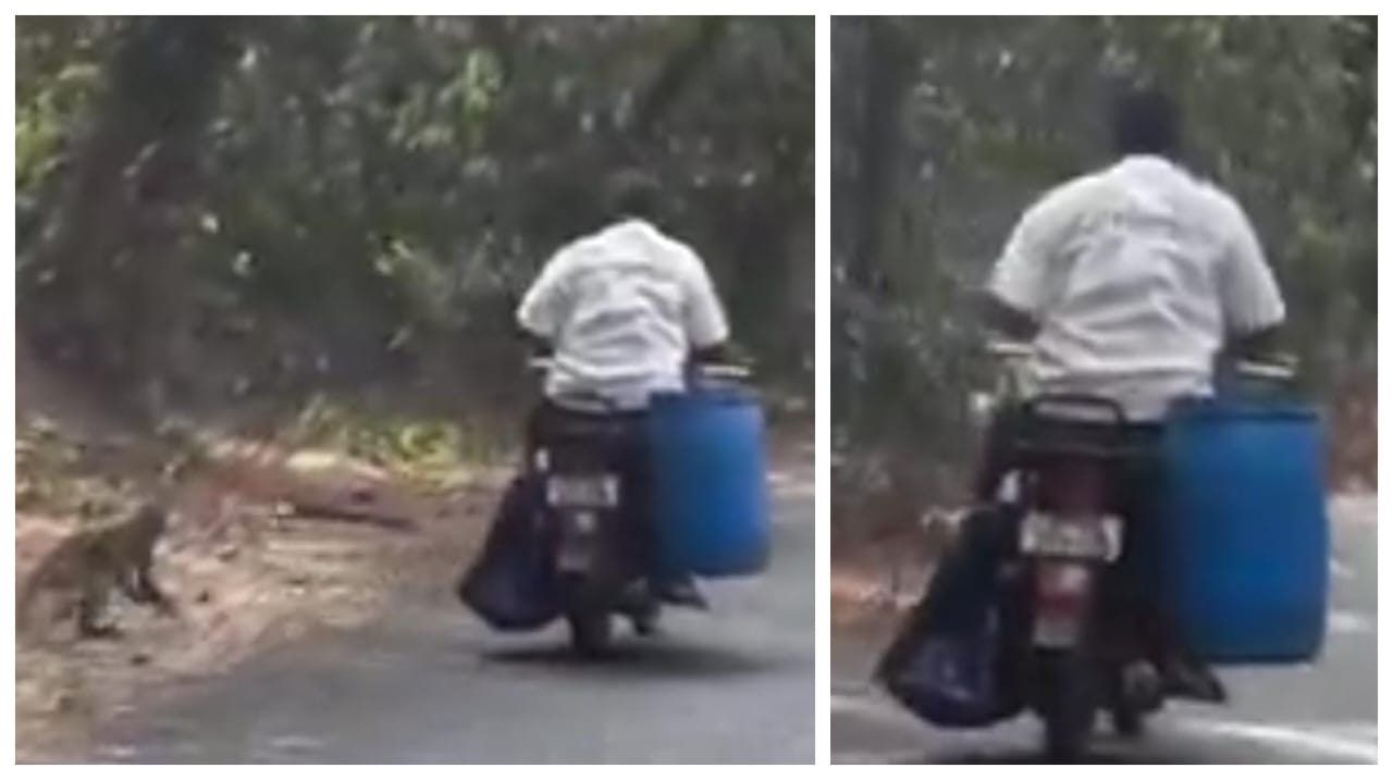 அந்த மனசு தான் சார் கடவுள்…. செல்லும் வழியில் குரங்குகளுக்கு உணவளித்த நபர்… வைரலாகும் நெகழ்ச்சி வீடியோ…!!!