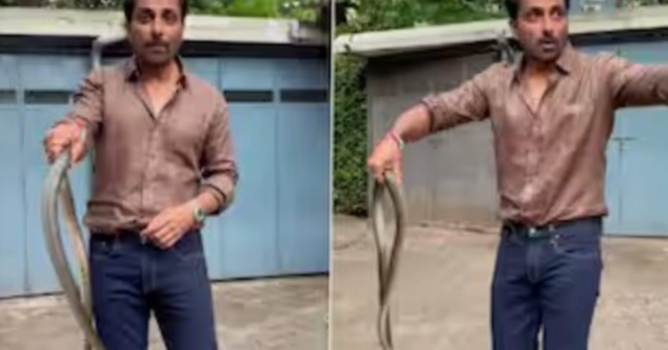 இவர் நிஜத்திலும் ஹீரோ தான்…! “பயமின்றி விஷப் பாம்பை பிடித்த நடிகர் சோனு சூட்”.. ஆச்சரியத்தில் ரசிகர்கள்… வைரலாகும் வீடியோ…!!!
