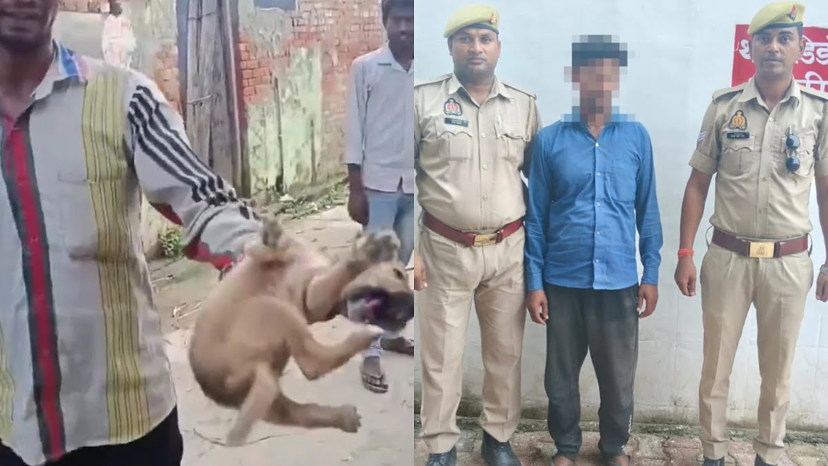 “தாய் நாயின் பாசப் போராட்டம்”… என் புள்ளையை விட்டுரு… வாயில்லா ஜீவனின் பரிதவிப்பு… ஈவு இரக்கமே இல்லாமல் அடித்துக் கொன்ற வாலிபர்… கண்ணீர் வர வைக்கும் வீடியோ..!!!!