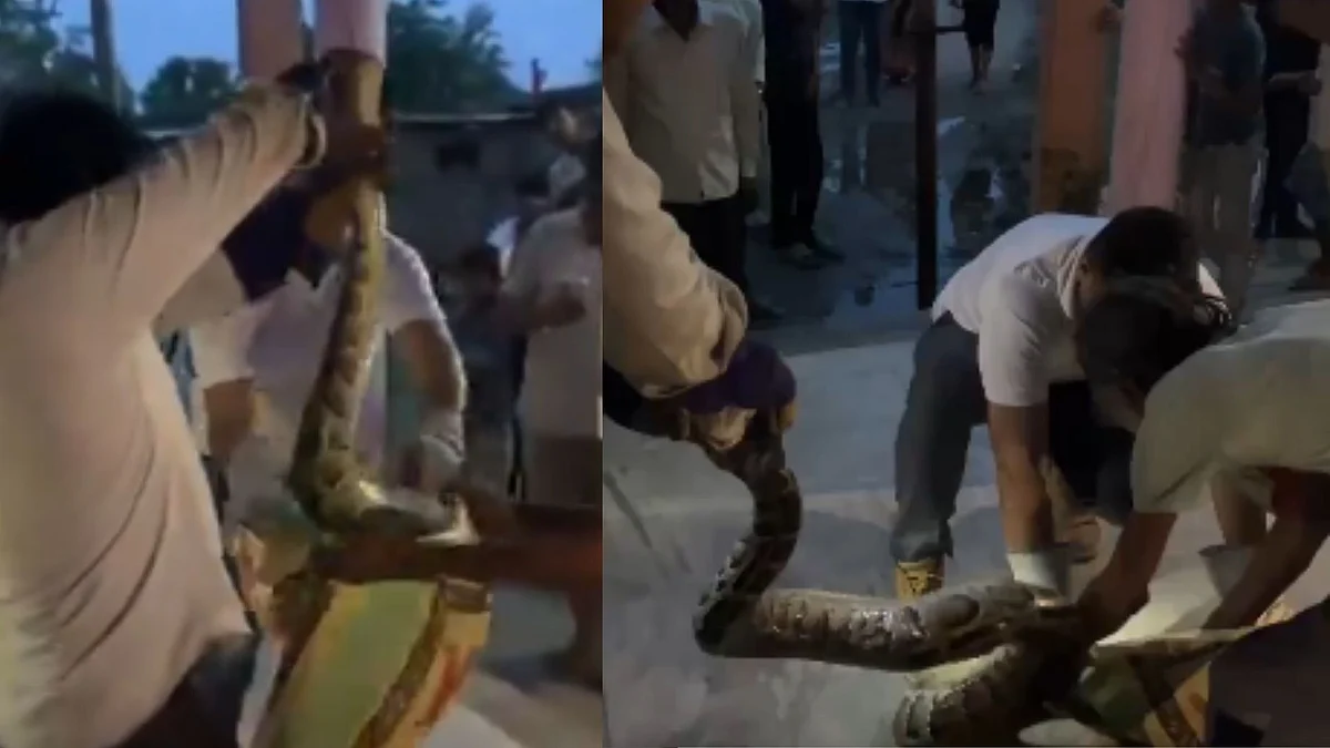 அடி ஆத்தி..! “எம்புட்டு பெருசு”… 12 அடி நீளம்… சிவன் கோவிலுக்குள் இருந்து தலை தெறிக்க ஓடிய பக்தர்கள்… ஊரே ஒன்று கூடிட்டு… இணையத்தில் வைரலாகும் வீடியோ…!!!!