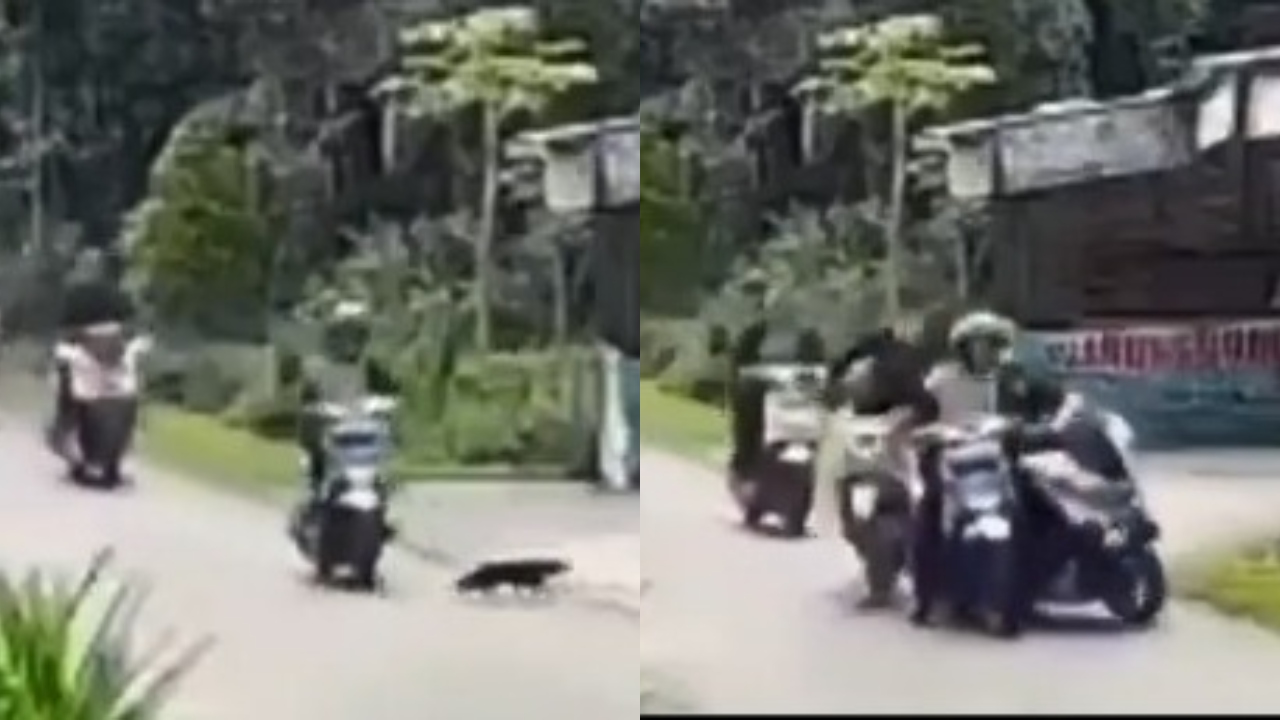 “நான் பாட்டுக்கு சிவனேன்னு தானே போனேன்…” கருப்பு பூனையை பார்த்து நின்ற நபர்…. அடுத்தடுத்து ஸ்கூட்டர்கள் மோதி…. வைரலாகும் அதிர்ச்சி வீடியோ….!!