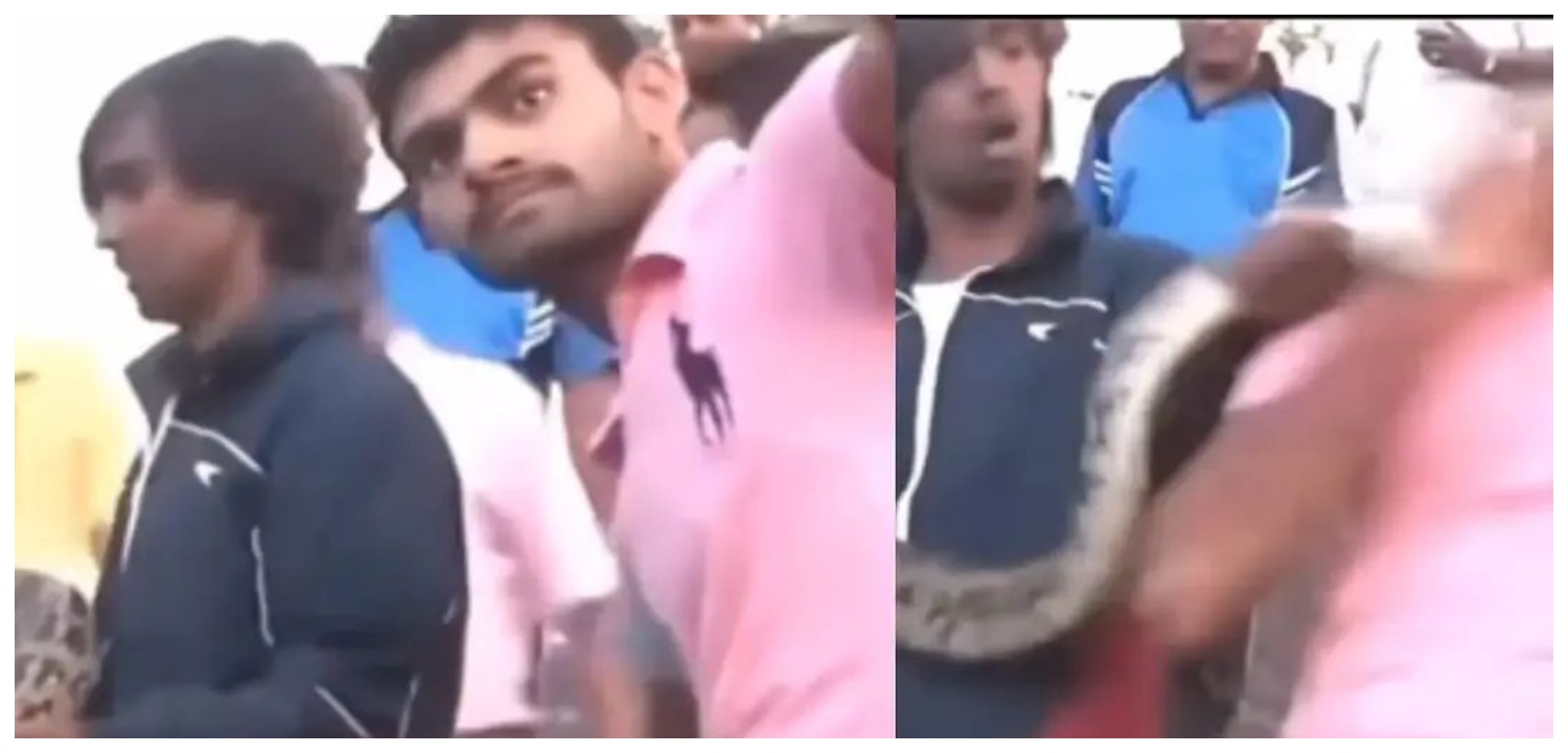 ஐயோ எவ்ளோ பெரிய மலைப்பாம்பு… அசால்டாக கையில் பிடித்திருந்த பாம்பு பிடிக்கும் இளைஞர்… செல்பி எடுக்க முயன்ற வாலிபர்… திடீரென சீறிப் பாய்ந்து… வைரலாகும் அதிர்ச்சி வீடியோ…!!!