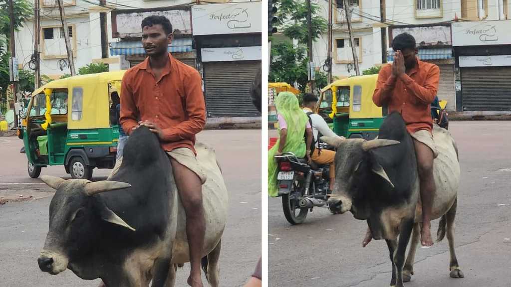 “நடுரோட்டில் சென்ற காளை”… வம்படியாய் பிடித்து இழுத்து  அமர்ந்து சவாரி செய்த இளைஞர்… ஒரு மணி நேரமாக நீடித்த அவலம்… வீடியோ வெளியாகி அதிர்ச்சி…!!!!