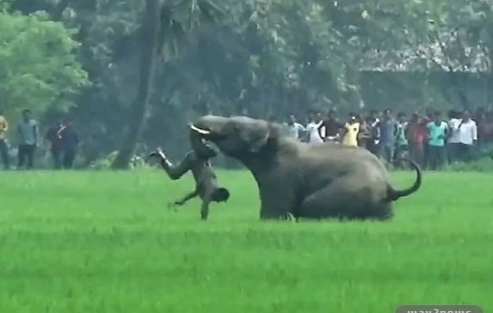 அடக்கடவுளே..! வாக்கிங் போனவருக்கு இப்படியா ஆகணும்…? எமனாக வந்த காட்டு யானை…. முன்னாள் எம்எல்ஏவுக்கு நடந்த சோகம்… அதிர்ச்சியில் மக்கள்.!