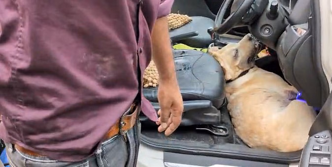 அடக்கொடுமையே… கொளுத்தும் வெயிலில் நாயை காருக்குள் வைத்து பூட்டிவிட்டு கோயிலுக்கு சென்ற நபர்… துடிதுடித்து போன உயிர்… கண் கலங்க வைக்கும் வீடியோ…!!!