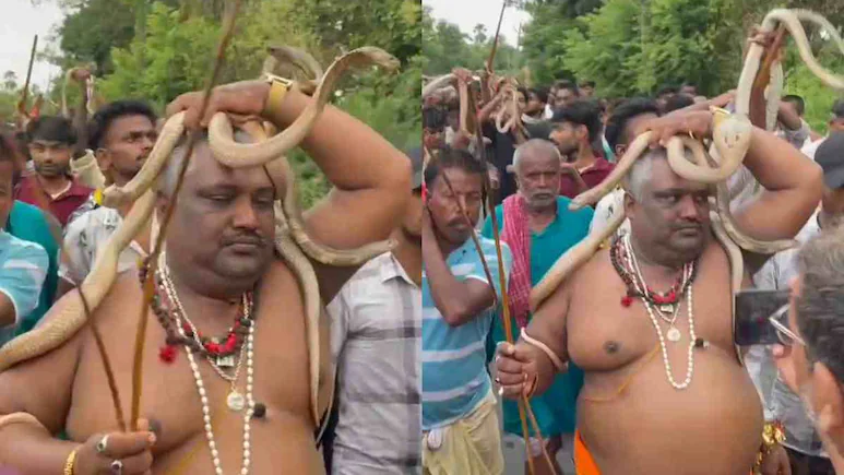 ஐயயோ..! “அம்புட்டு உசுரோட இருக்குது”.. படமெடுத்து ஆடும் நாகப்பாம்புகளுடன் அணிவகுத்த மக்கள்… பயமே இல்லங்க… வைரலாகும் வீடியோ…!!!!