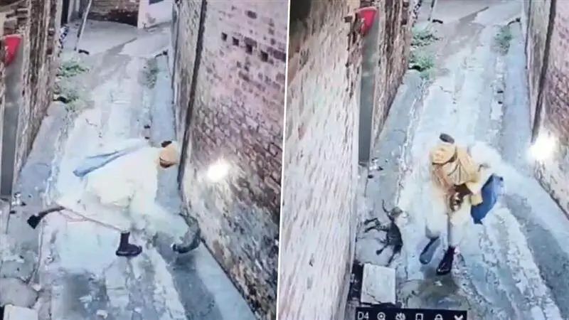 வீட்டின் முன்பு நின்று பிச்சை கேட்ட நபர்… சும்மா சென்ற பூனையை அடித்து கொன்று… அதன் பின்… வைரலாகும் அதிர்ச்சி வீடியோ..!!