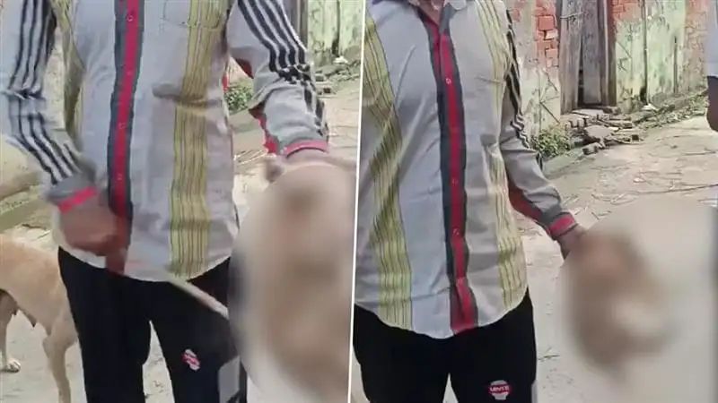 பாவம் அந்த நாய்க்குட்டி….! கழுத்தை பிடித்து, குச்சியால் அடித்து வீசிய வாலிபர்…. அதிர்ச்சியூட்டும் வீடியோ வைரல்….!!