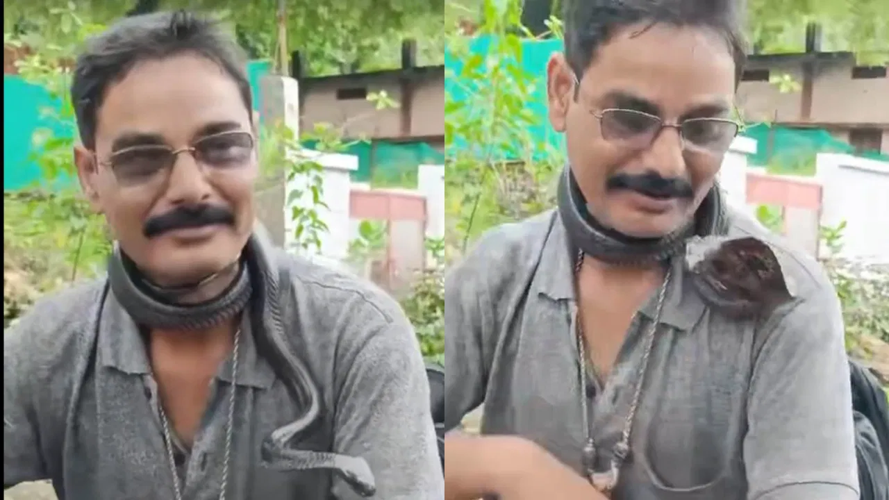 அடக்கடவுளே.. கொடிய விஷப் பாம்பை கழுத்தில் போட்டுக் கொண்டு ரீல்ஸ் எடுத்த நபர்… நொடி பொழுதில் நடந்த விபரீதம்… இறுதியில்… வைரலாகும் அதிர்ச்சி வீடியோ..!!!