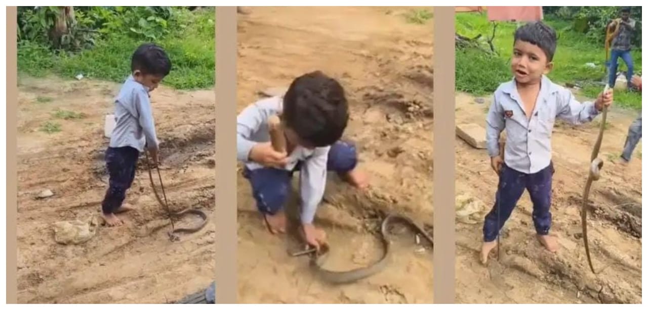 இந்தப் பையனுக்கு தைரியத்தை பார்த்தீங்களா?… ஓடும் பாம்பை கையில் பிடித்து விளையாடிய சிறுவன்… வைரலாகும் அதிர்ச்சி வீடியோ…!!!