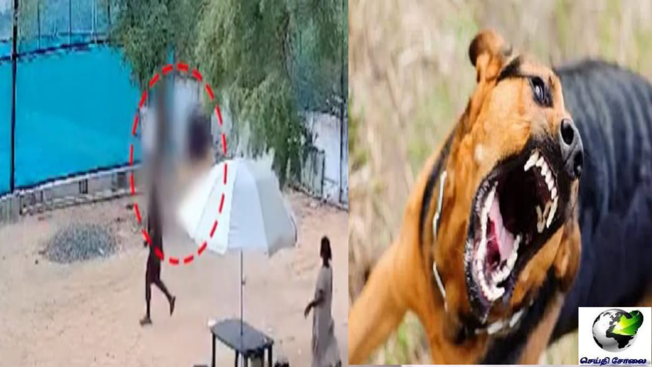 “பட்டப்பகலில் பயங்கரம்”  வெறிகொண்ட தெரு நாய் 8 வயது சிறுவனையும் காப்பாற்ற முயன்ற தந்தையையும்  கடித்த கொடூரம்…. அதிர்ச்சி வீடியோ..!!