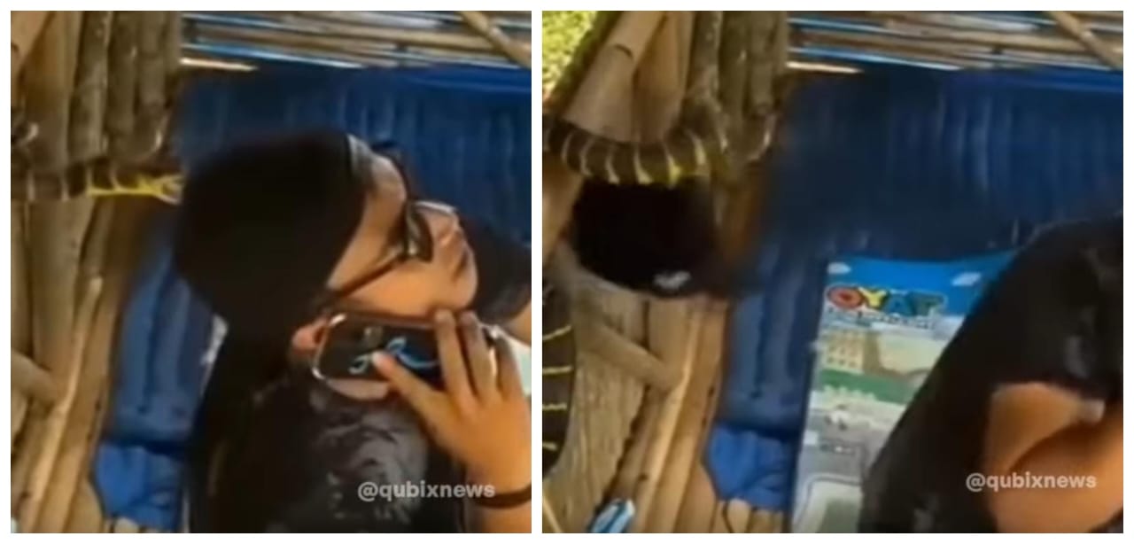 டேய்..! உன் பின்னால பாம்பு இருக்குடா… அது கூட தெரியாம எப்படி போன் பேசிட்டு இருக்கானு பாருங்க…. தொப்பி இருந்ததுனால தப்பிச்சேன்…. வைரலாகும் அதிர்ச்சி வீடியோ…!!!